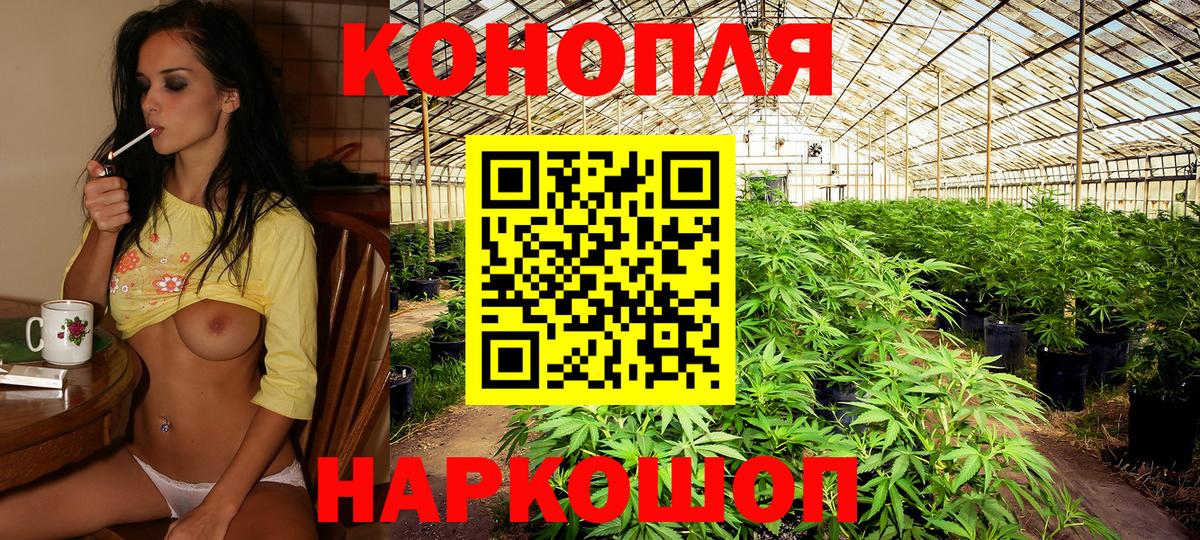 Бошки Шишки планчик Верхняя Салда